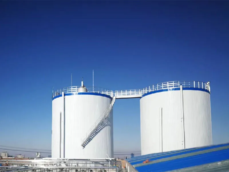 Нинся ланьтянь сельскохозяйственная компания развития с ограниченной ответственностью работы по очистке сельскохозяйственных сточных вод